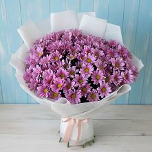 Букет цветов из:  Хризантемы в Куйтун