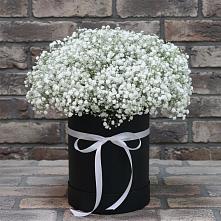 Цветочная композиция из Гипсофила в шляпной коробке #REPLACE_PRED# Куйтун