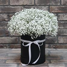 Цветочная композиция из Гипсофила в шляпной коробке в Куйтун