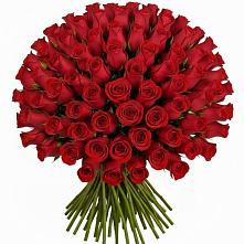 Букет Красные розы Чери Лав #REPLACE_PRED# Куйтун